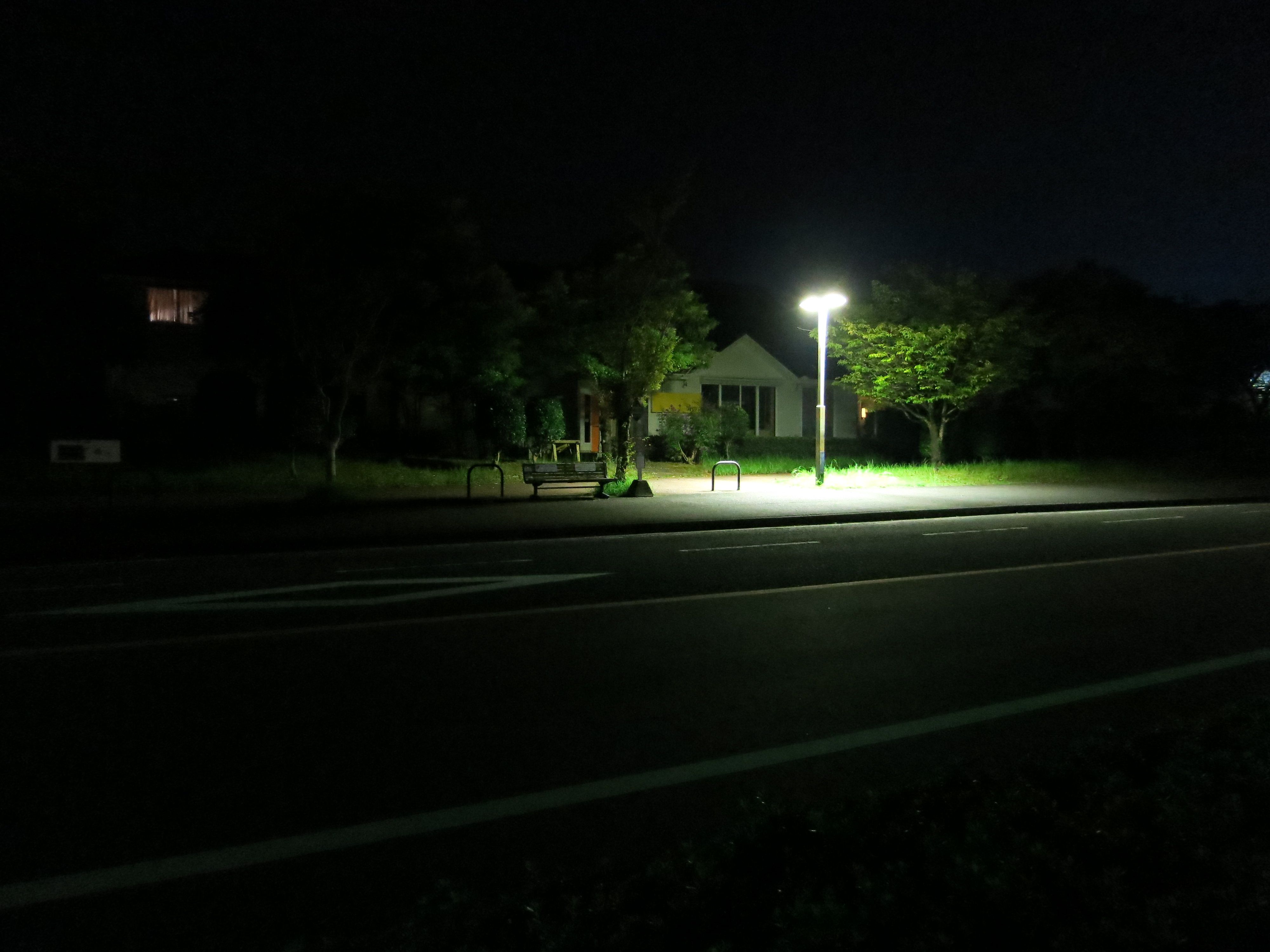 malam di bawah cahaya lampu jalan